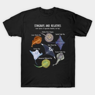 Stingray Species: Manta Ray, River Stingray, and More T-Shirt